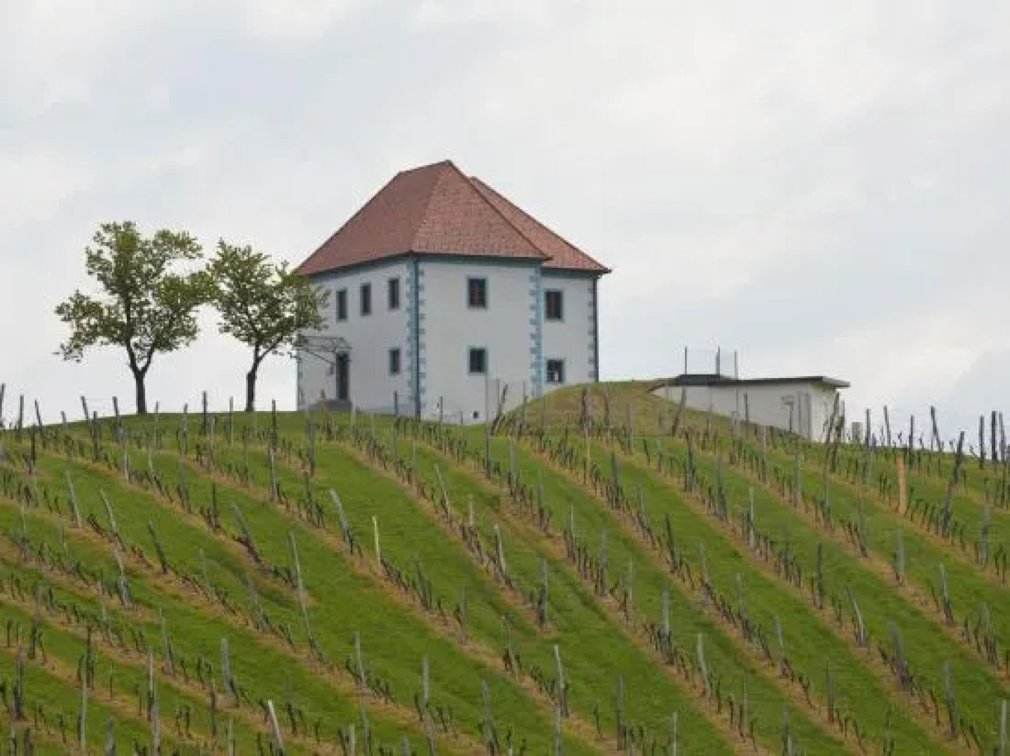 Wine Grower's Mansion Zlati Gric