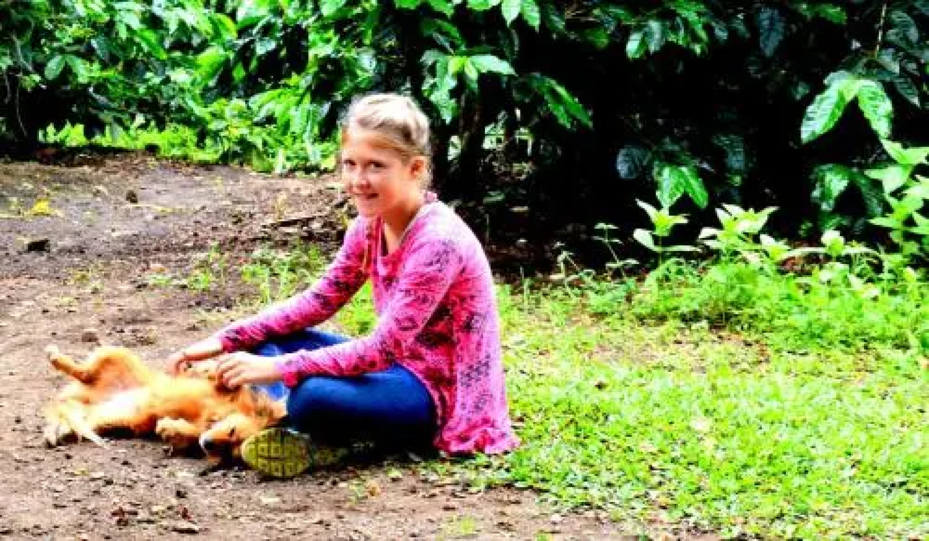 Casa Mariposa Monteverde