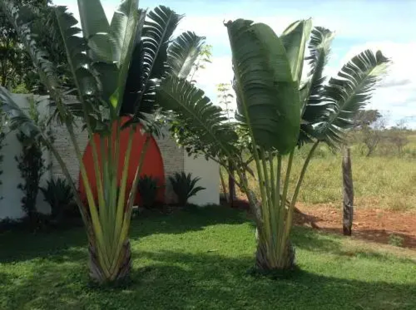 Impérium Inn Motel (Adult Only)