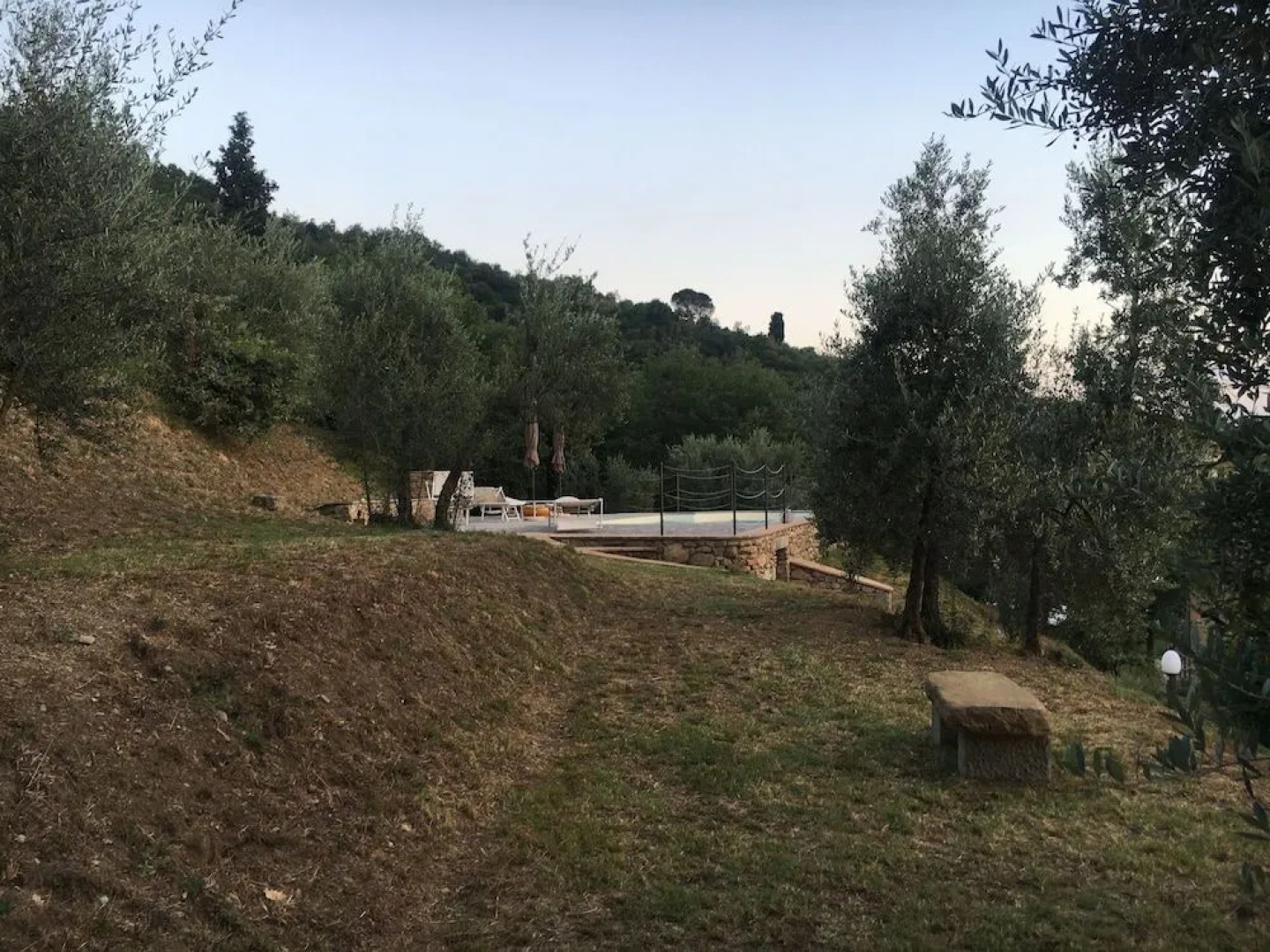 Il Giardino degli Olivi