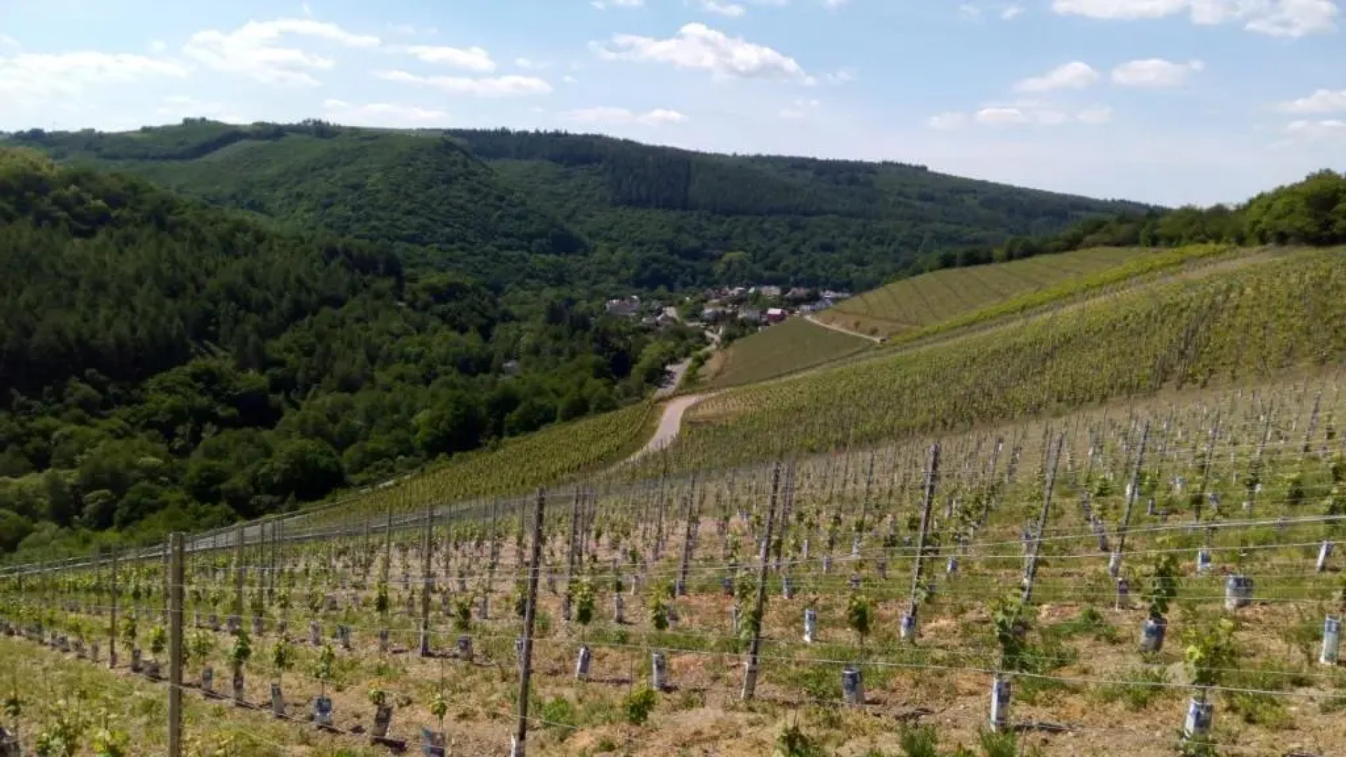 Hotel Landgasthof Simon