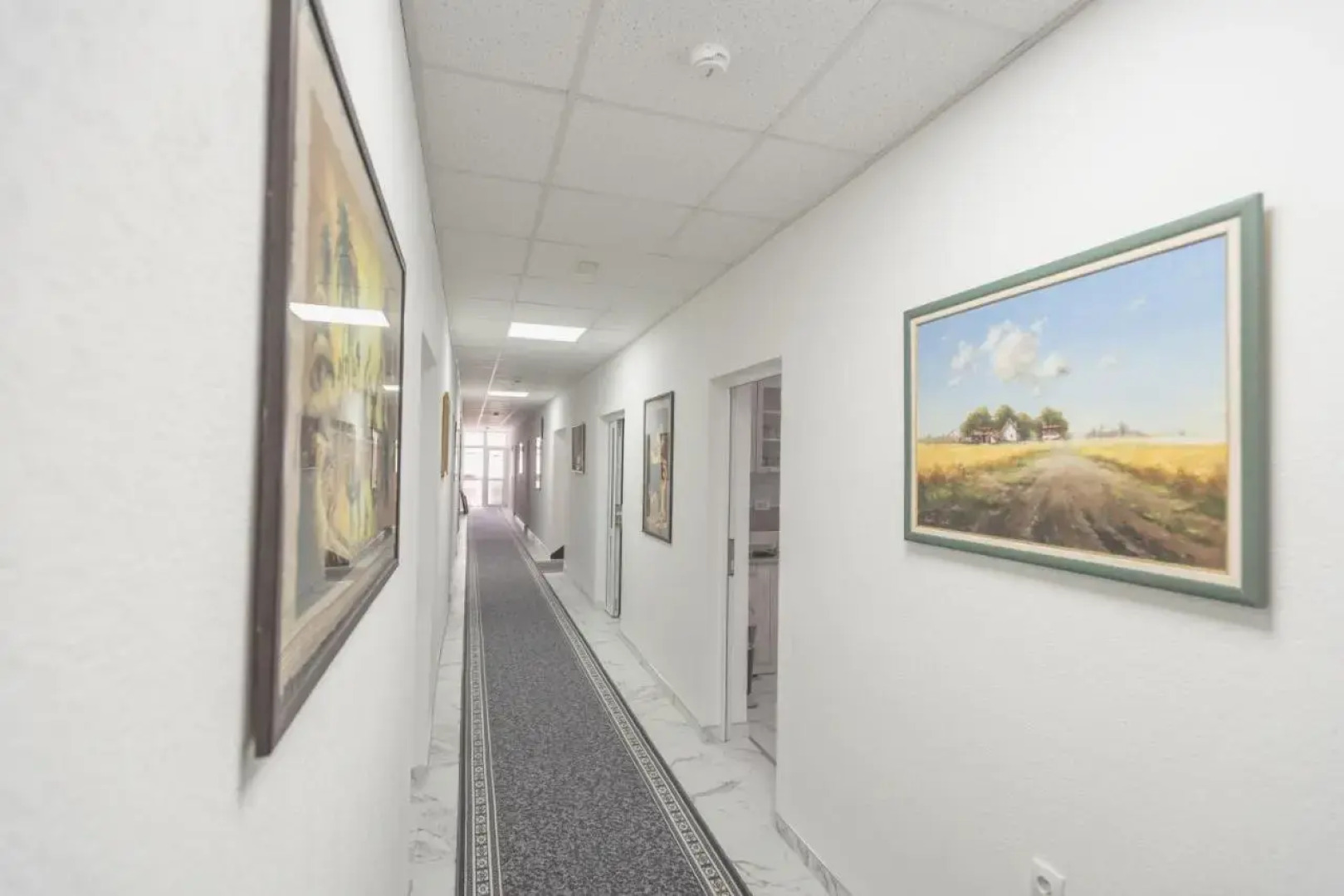 Plavi restoran, Loznica