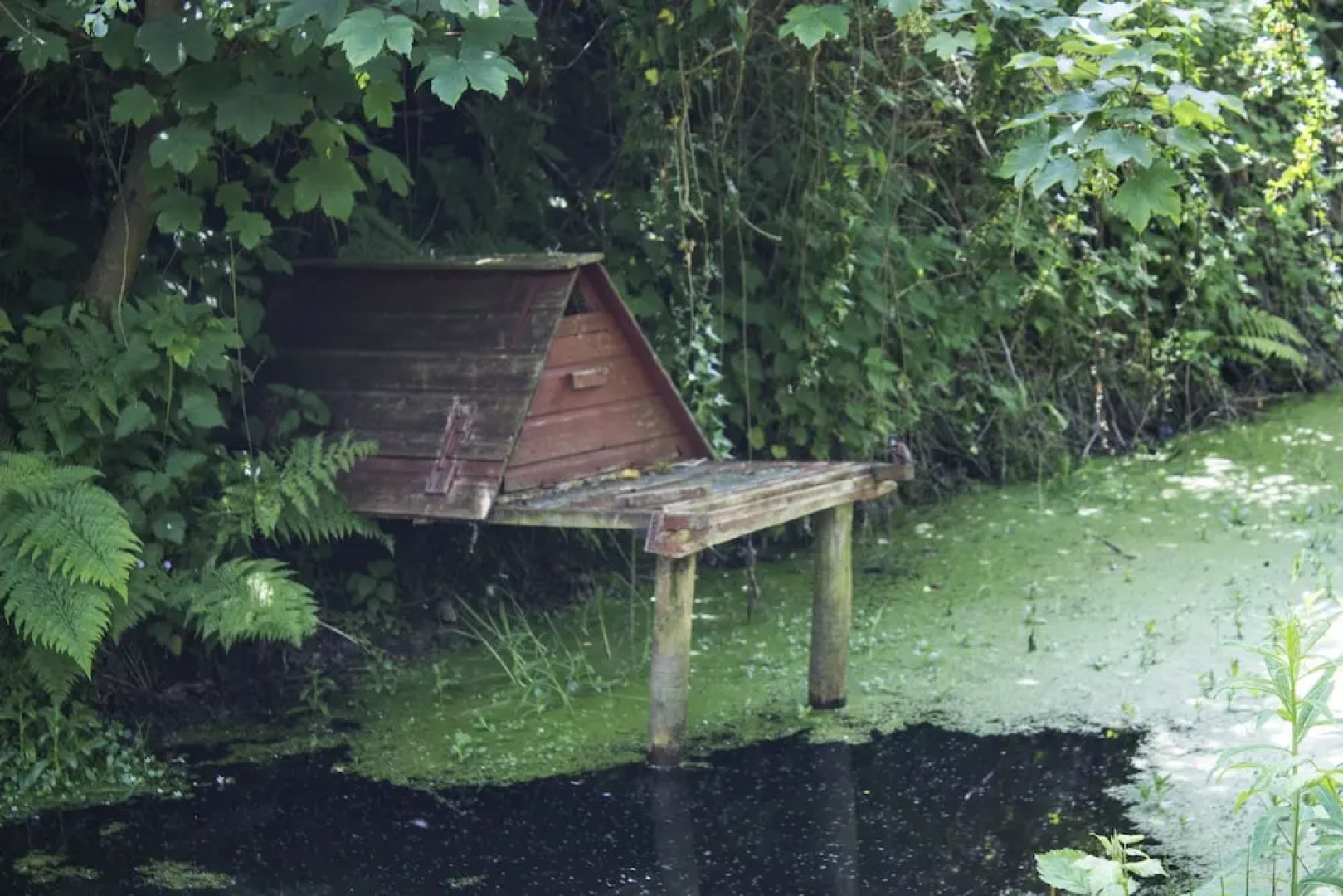 Waunwthan: B&B Suites