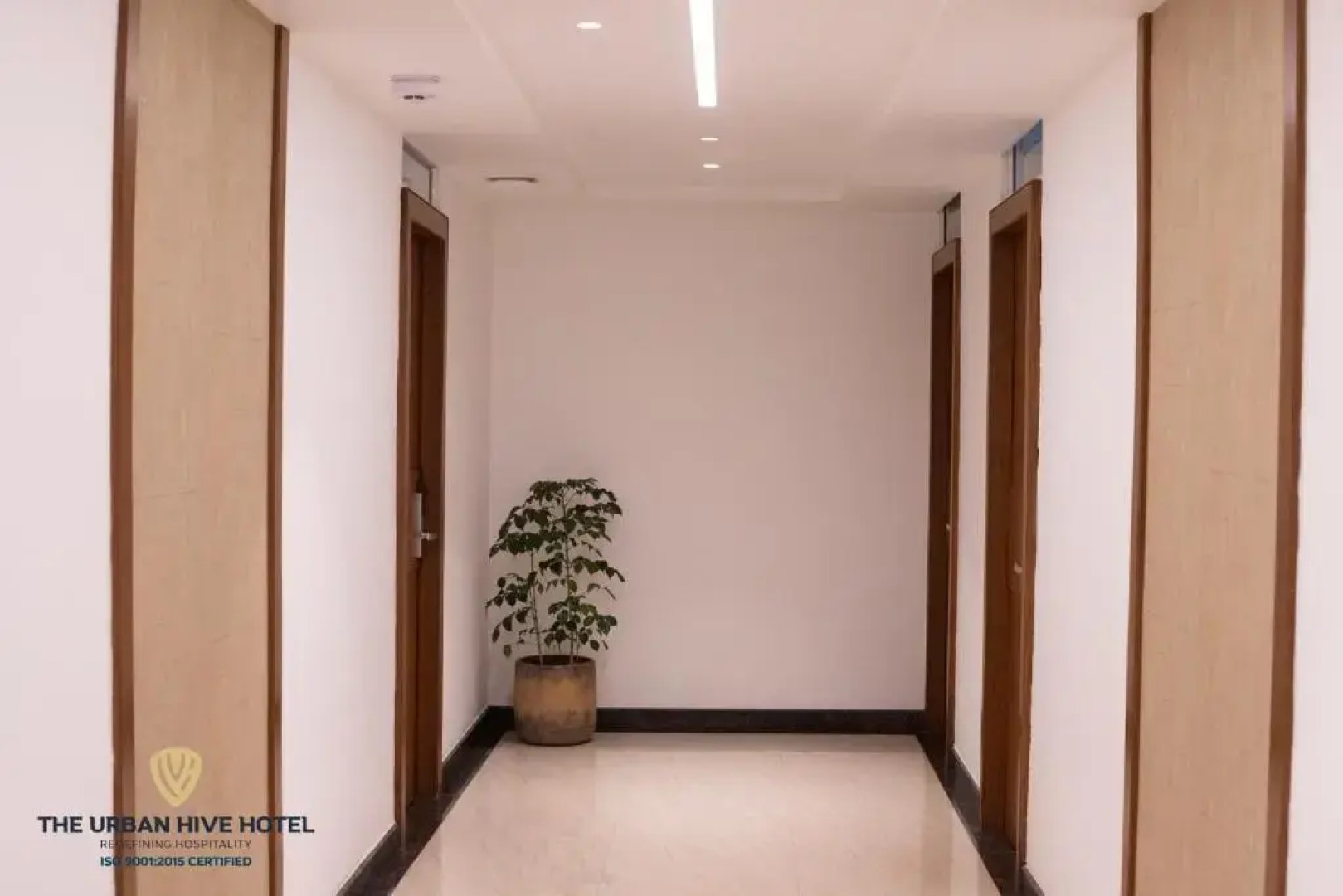 The Urban Hive Hotel