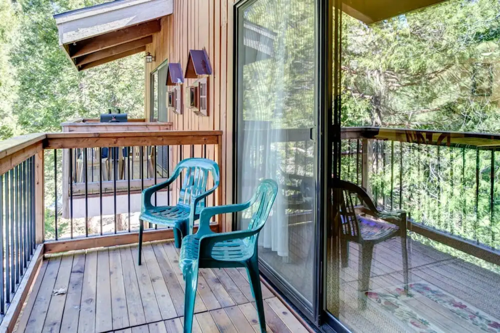 Yosemite Delight-b208