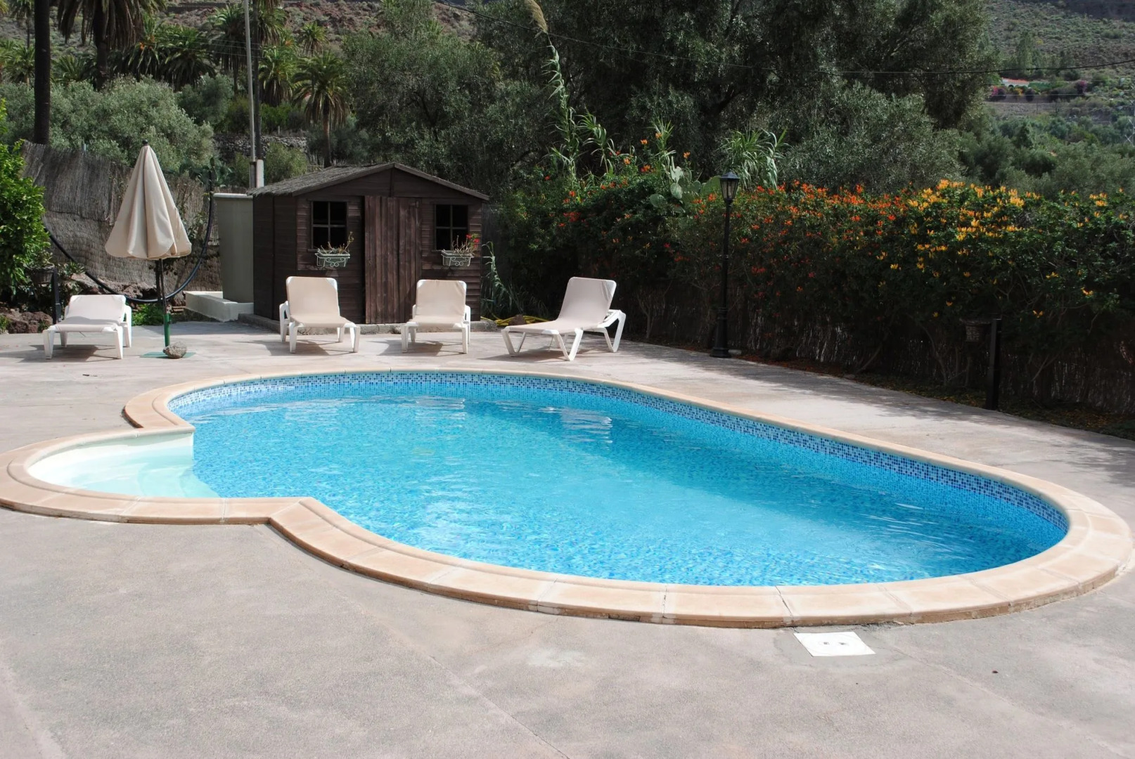 El Olivar - Almazara