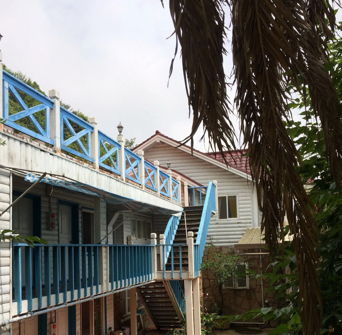 Cingjing Brilliant Twins of Seattle