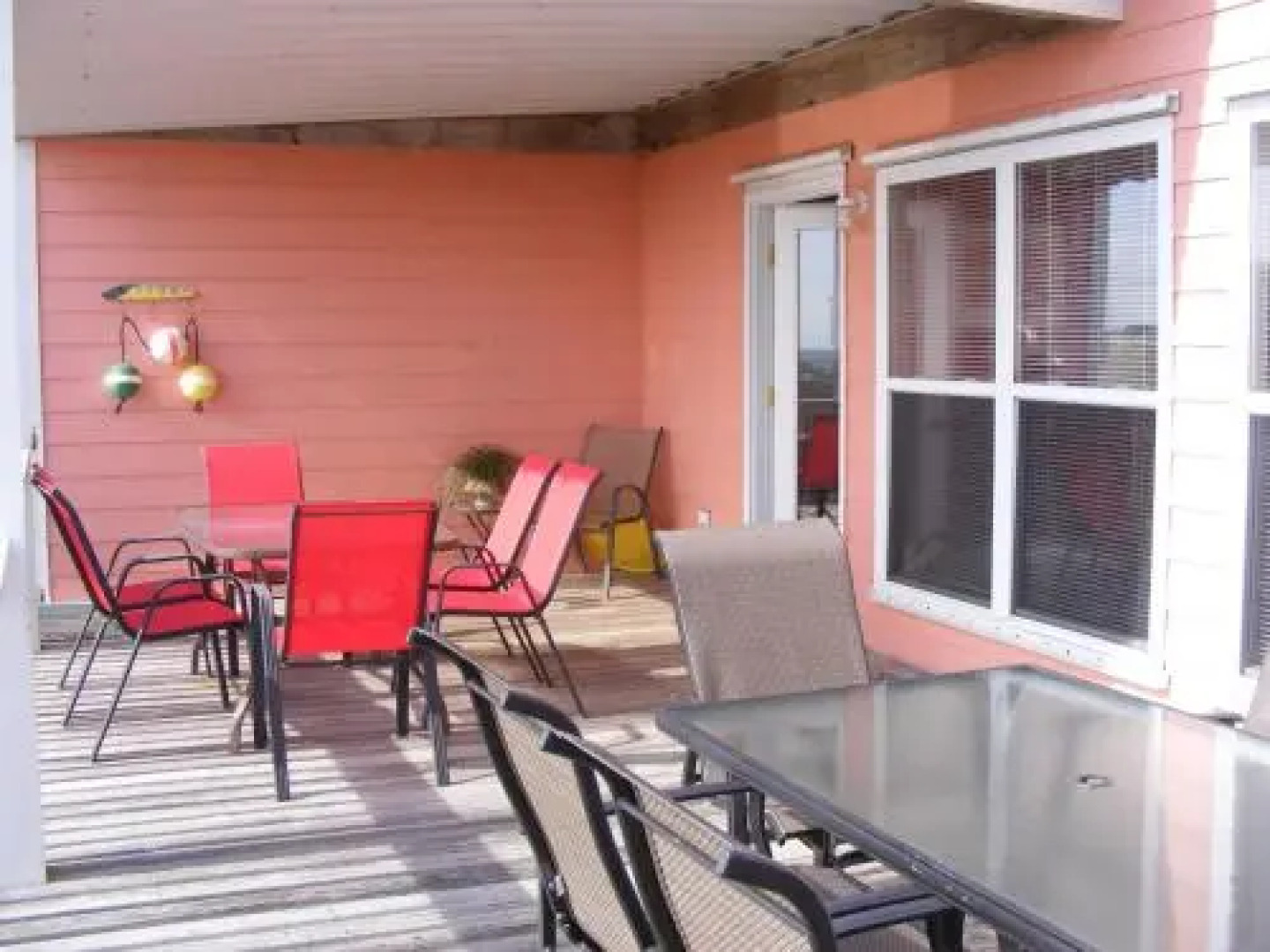 Shellchase by RedAwning