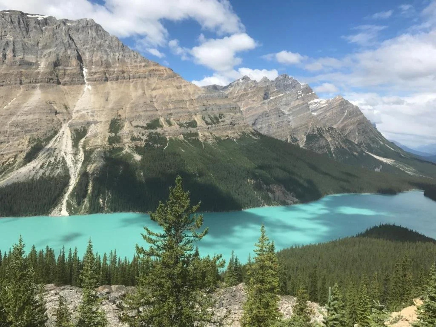 All Seasons Accommodation