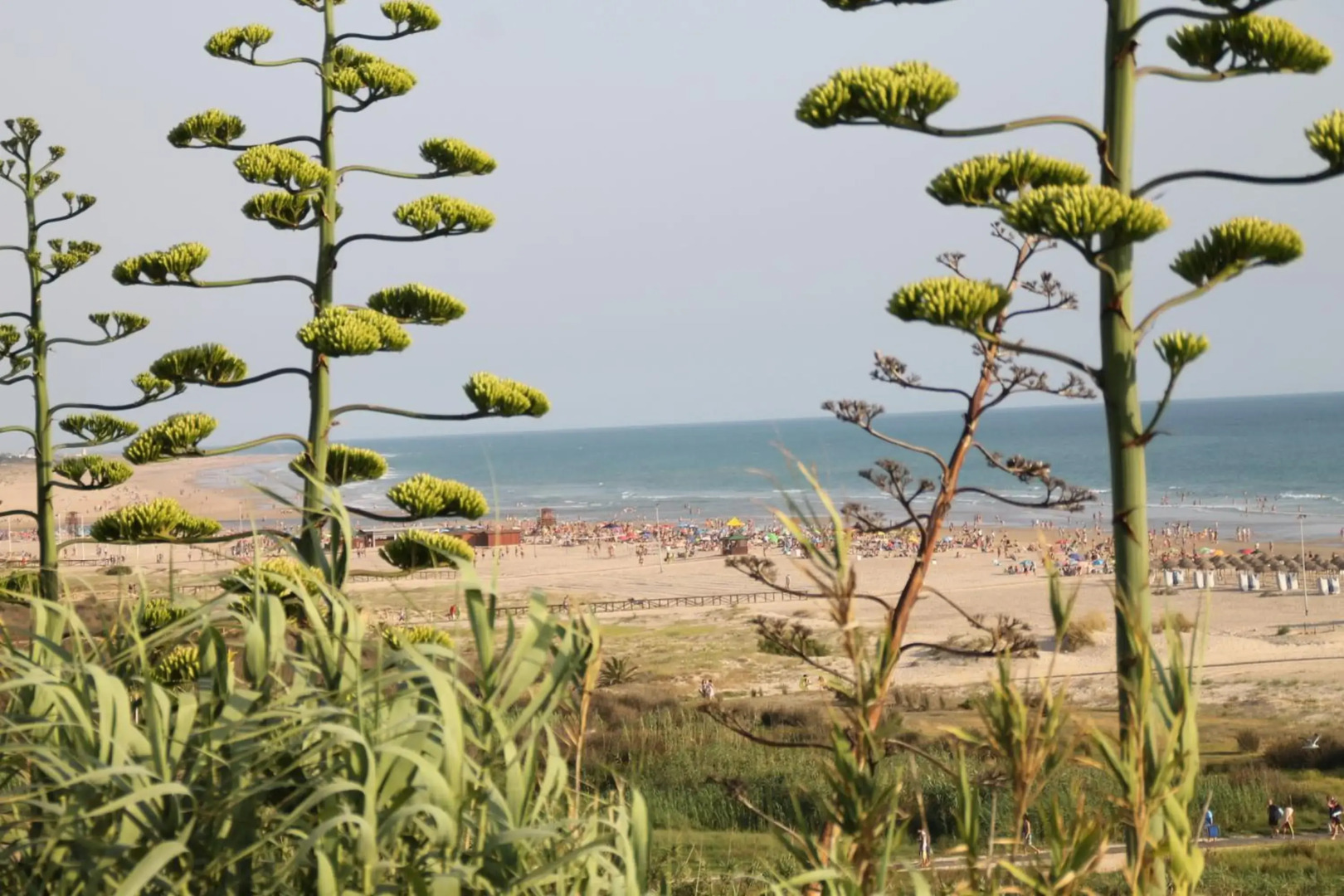 Apartamento Pascual Junquera I