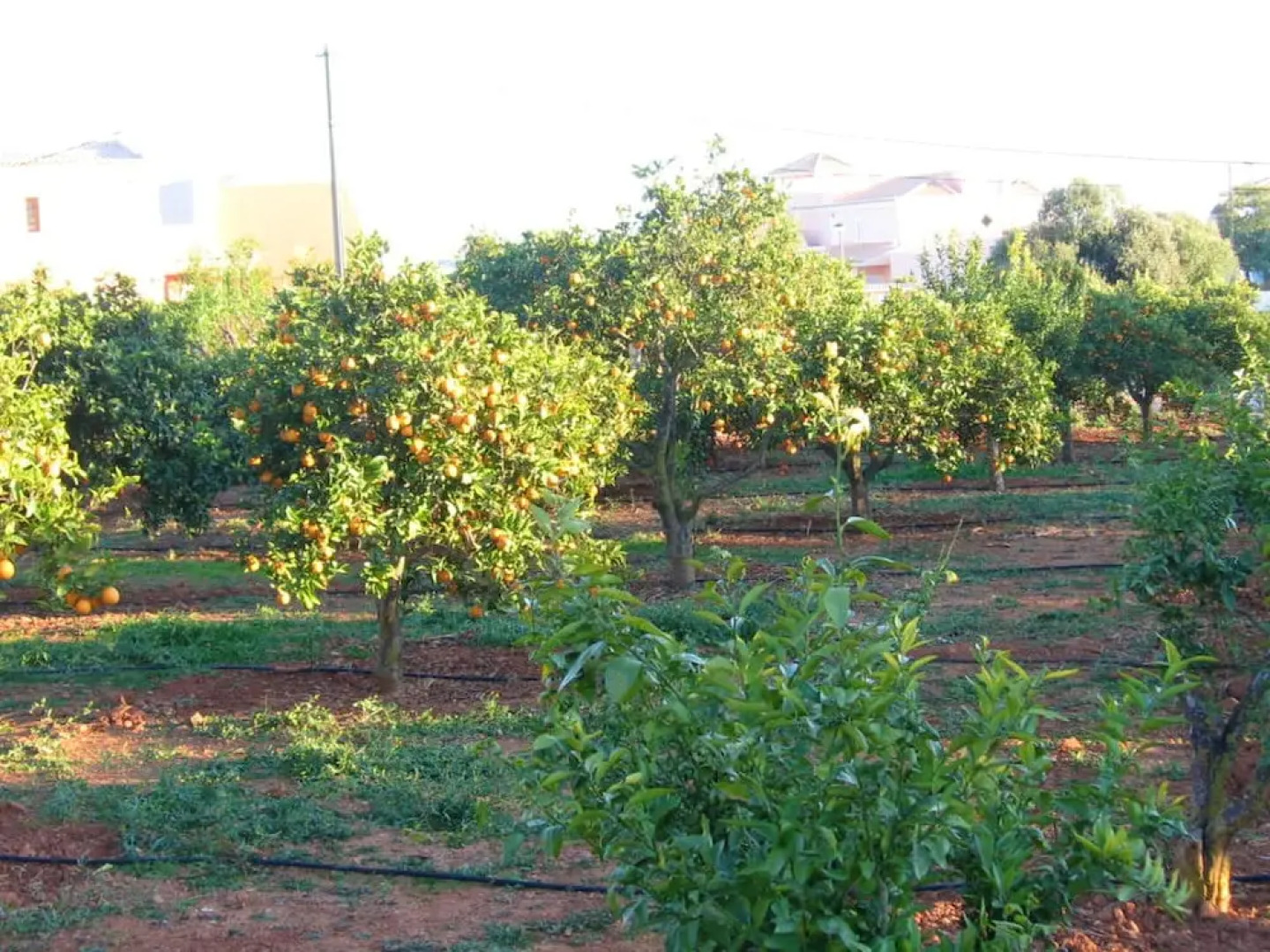 Villa With 4 Bedrooms in Silves, With Wonderful Mountain View, Private