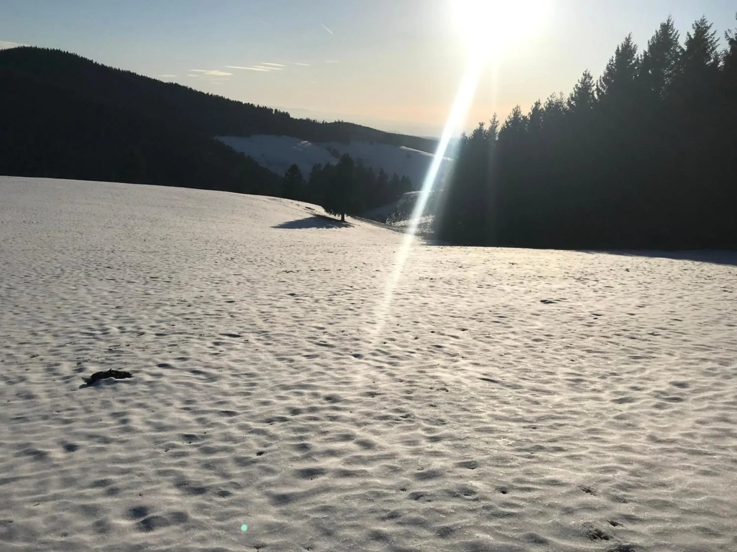 Hochkopfhaus zum Auerhahn