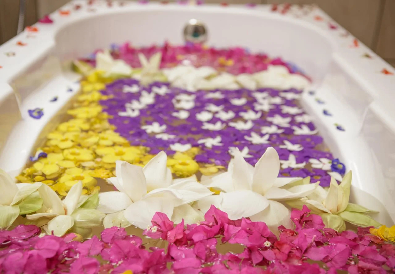 Thaulle Pure Ayurveda Resort - Yala