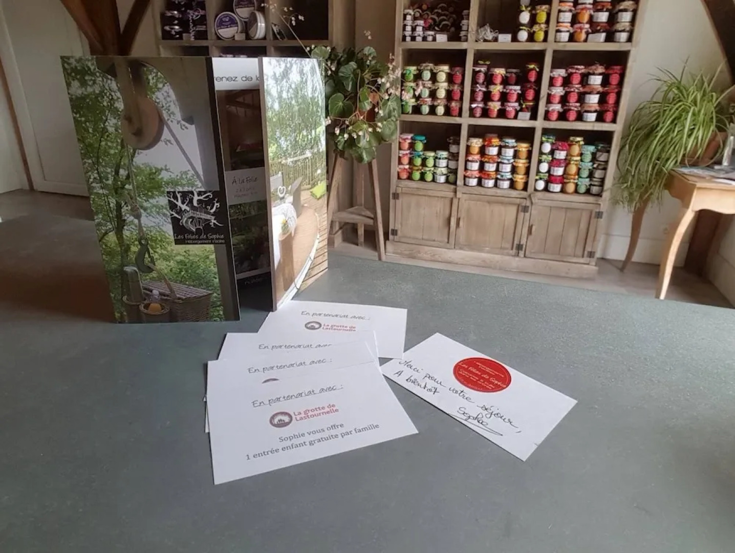 Les Folies de Sophie