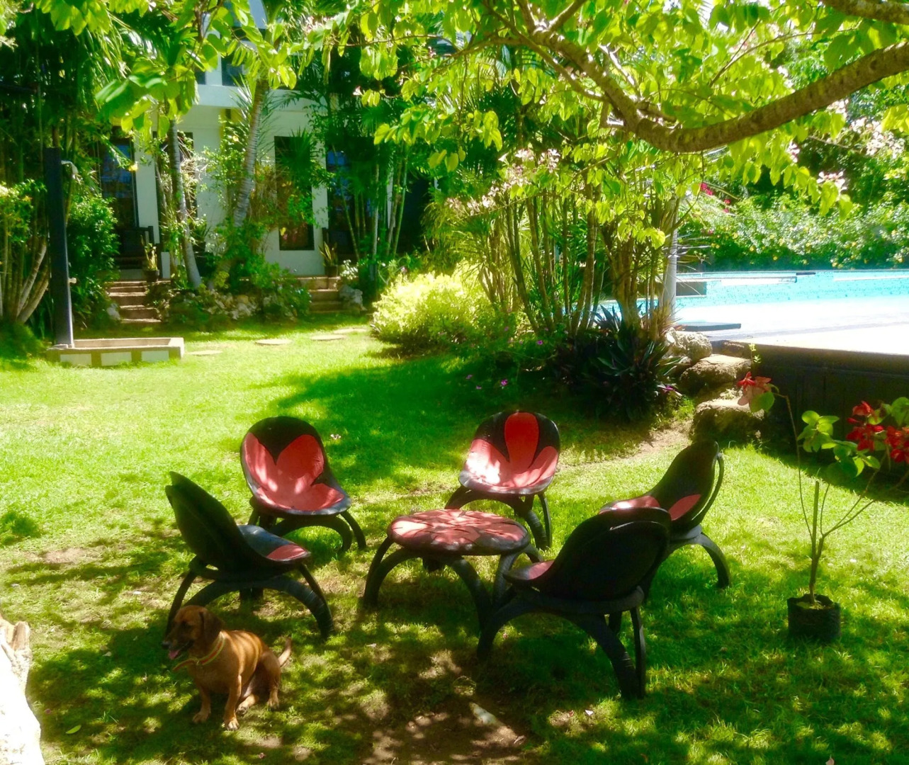 La Pernela Beachfront Resort