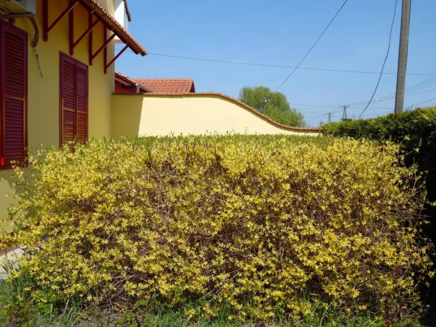 Aranyeső Vendégház