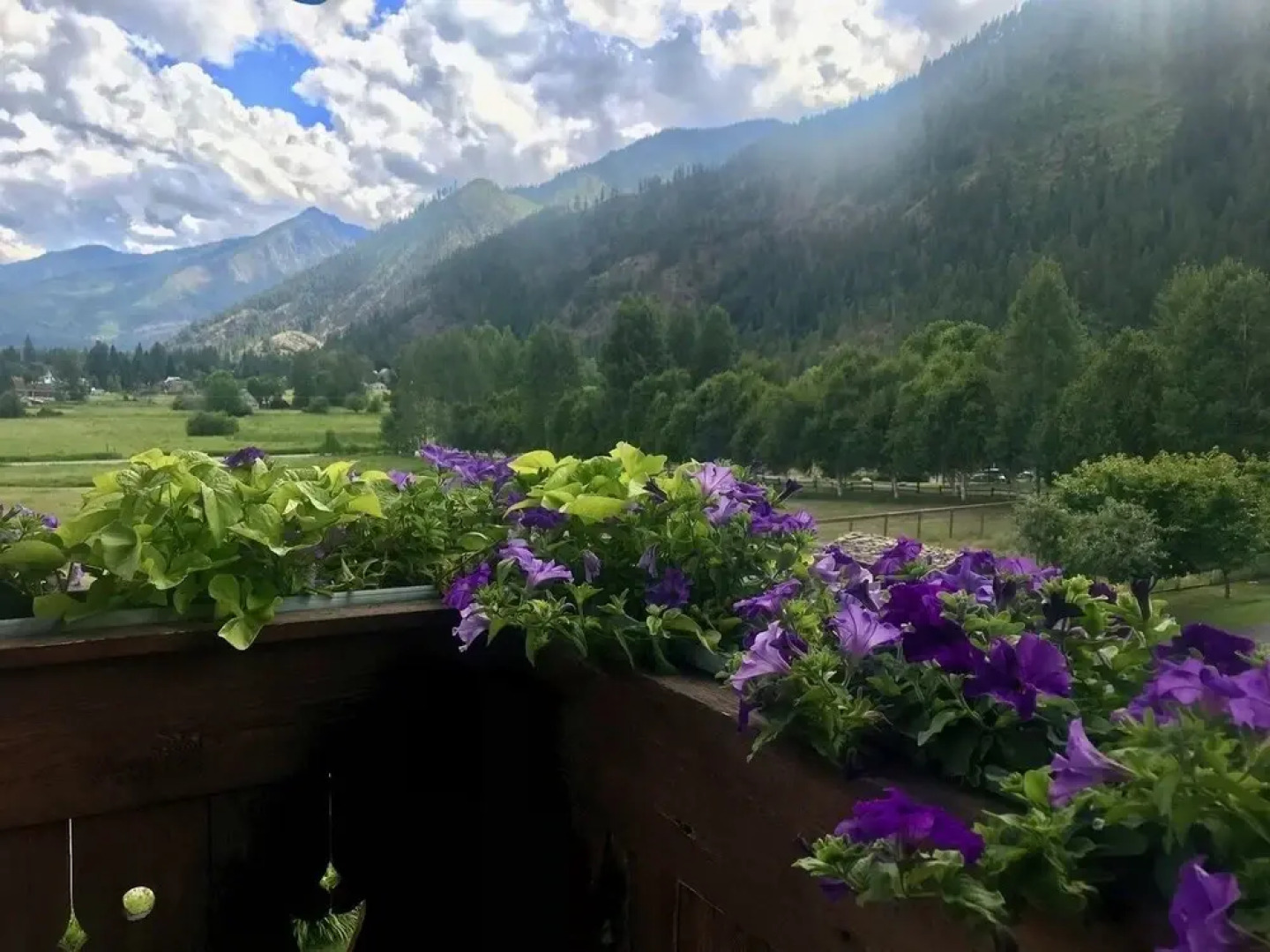 Abendblume - Adults Only