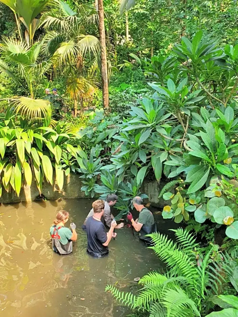 Edens Yard Backpackers