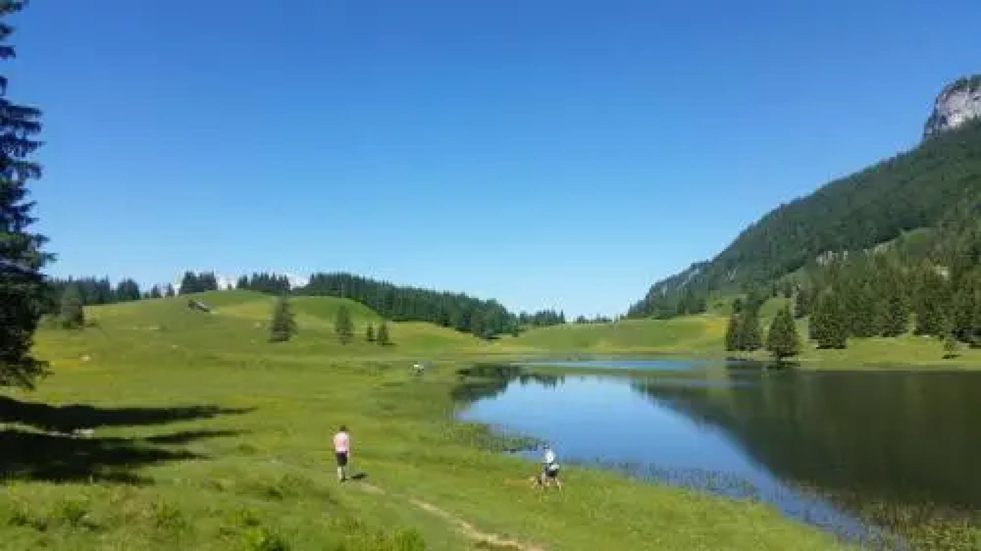 Apartment Schützinger