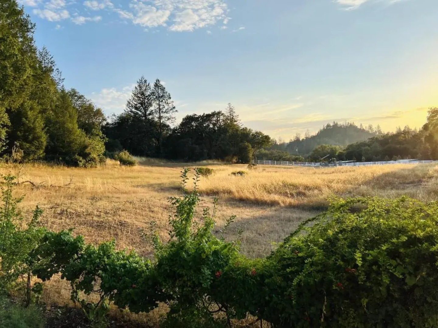 The Calistoga Cottage