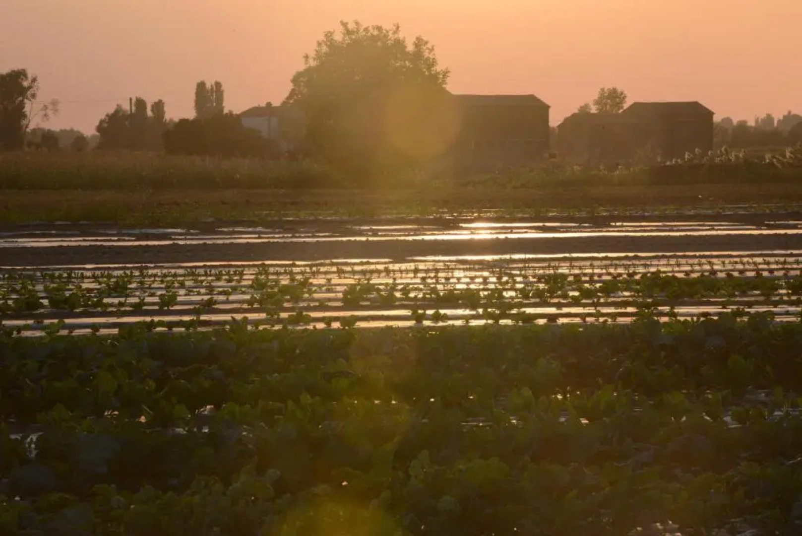 Ca' Vascon Alloggio Agrituristico