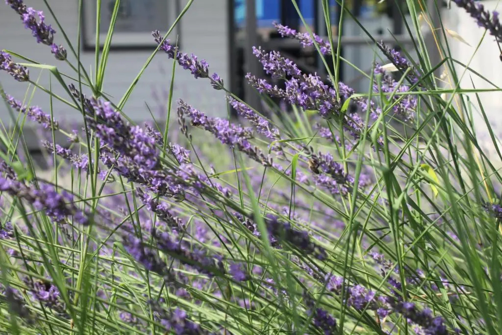 Brit Hotel Confort Manosque Cadarache