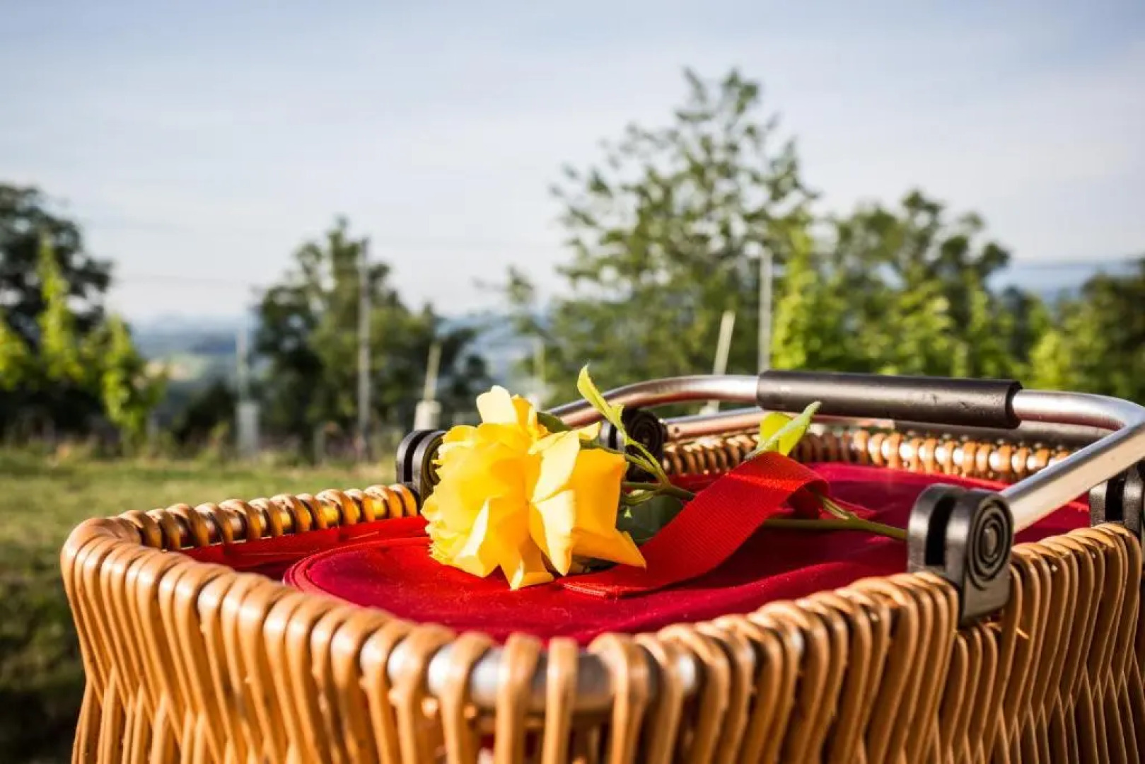 Winzarei, Weingut Tement