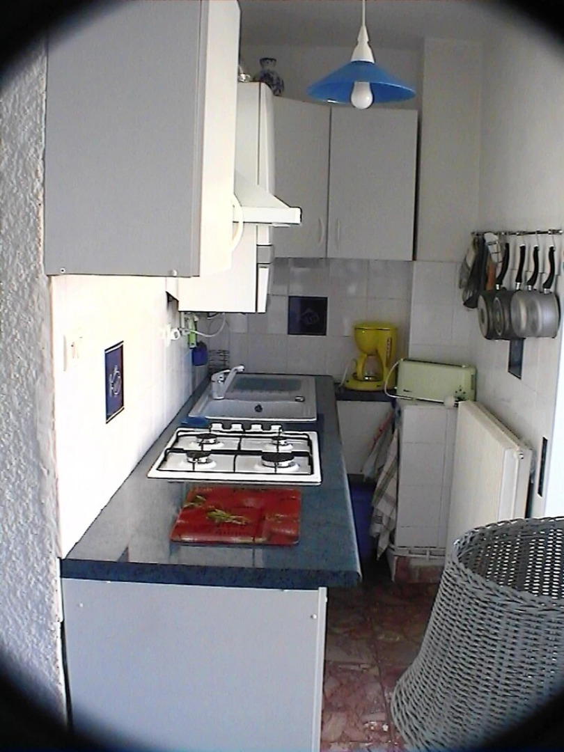 Apartment With one Bedroom in Saint-cyprien, With Wonderful City View