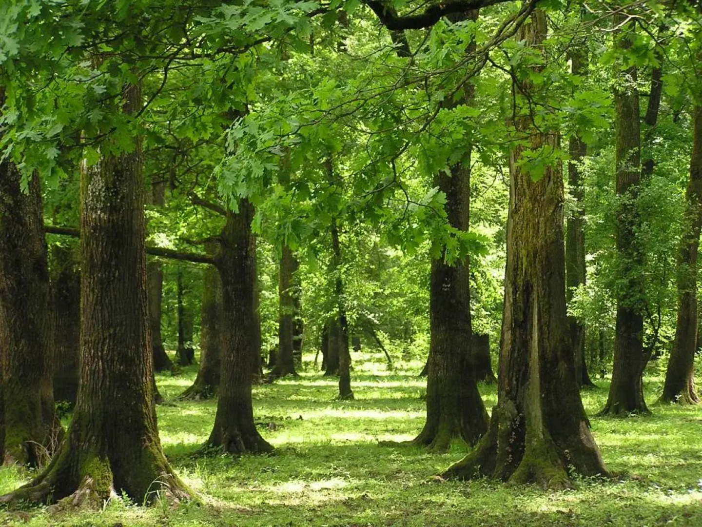 Rural Tourism Family Ravlic