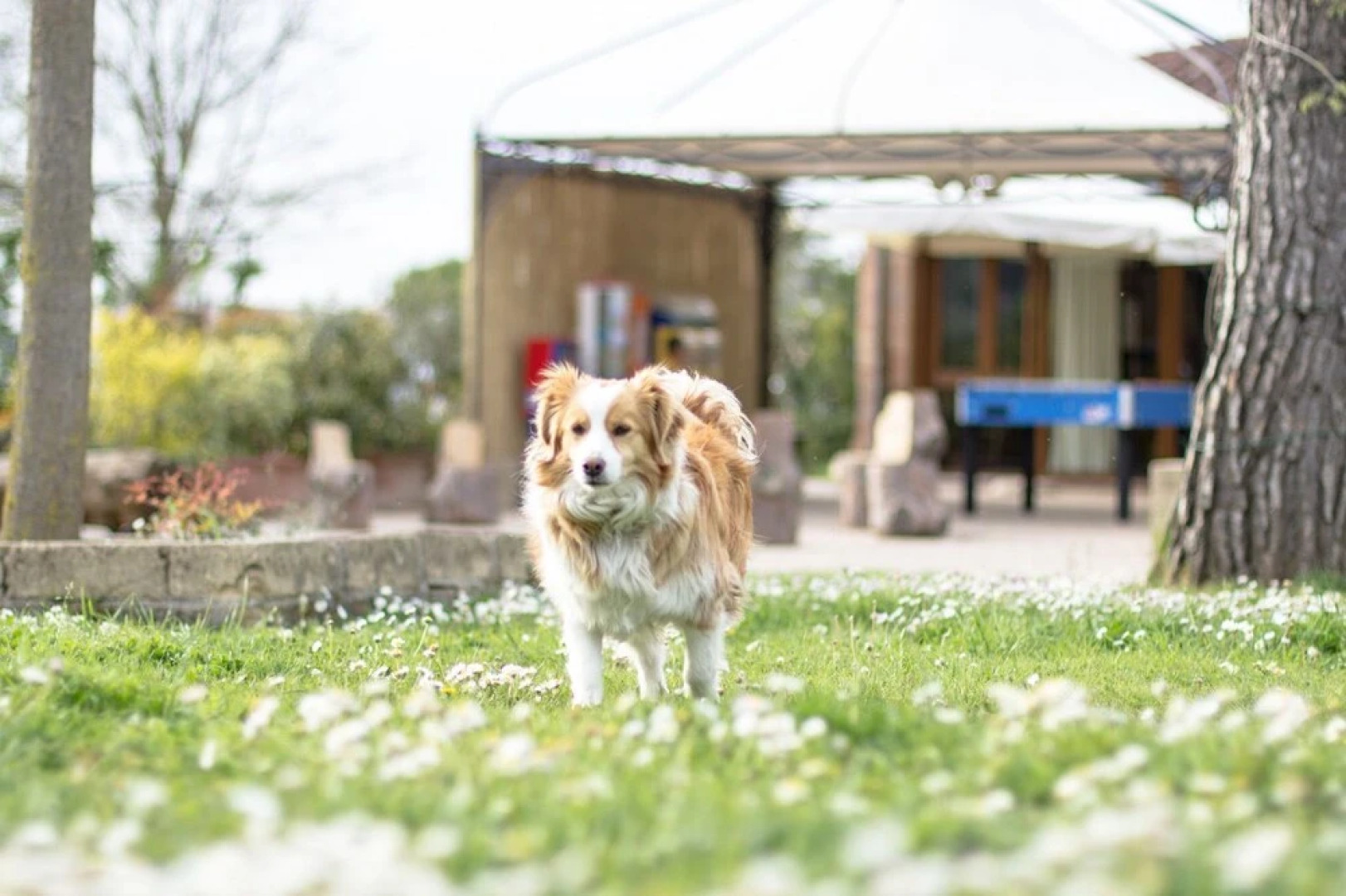 Agriturismo La Valle Dei Conti