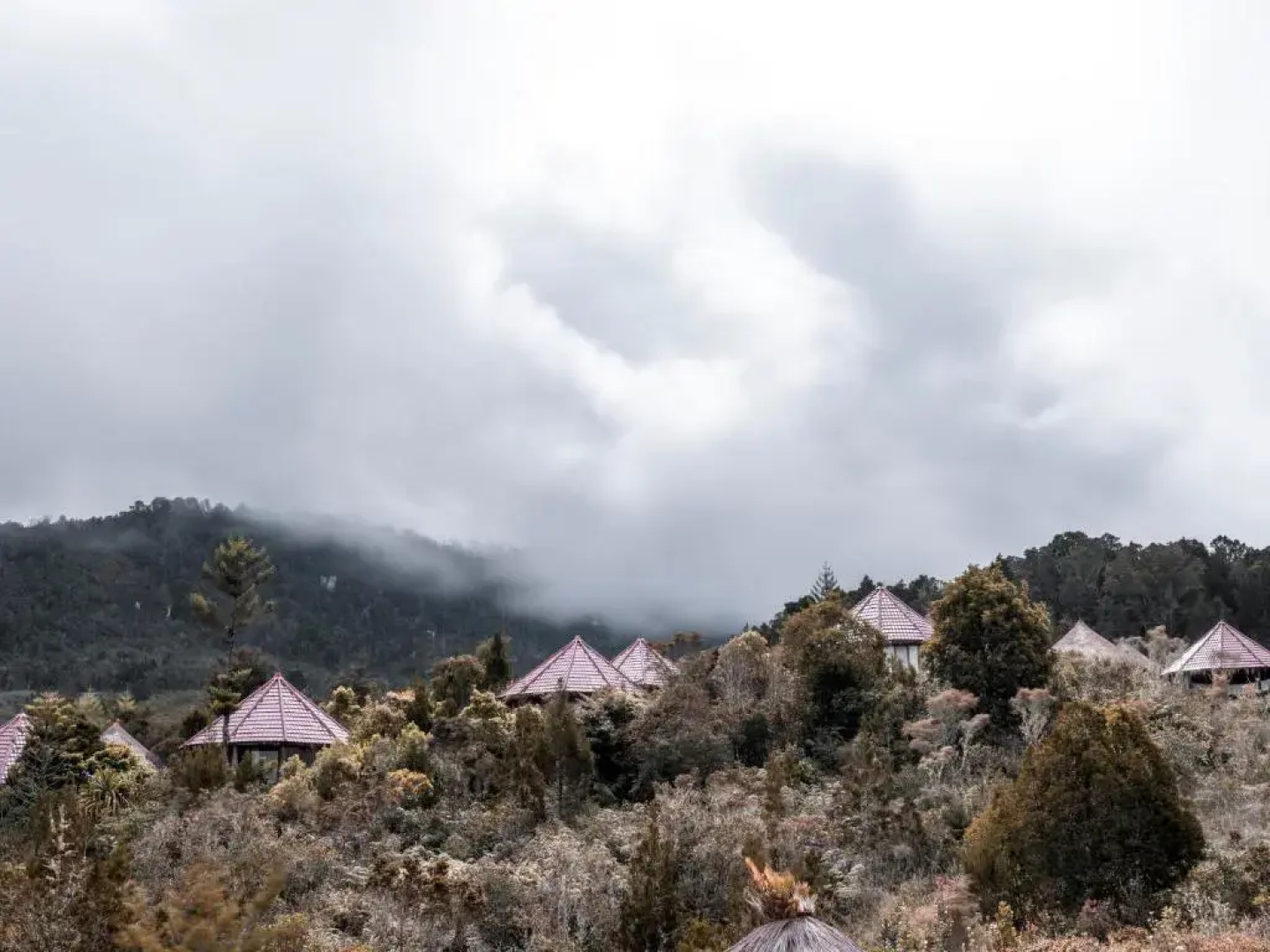 Hotel Baliem Valley Resort