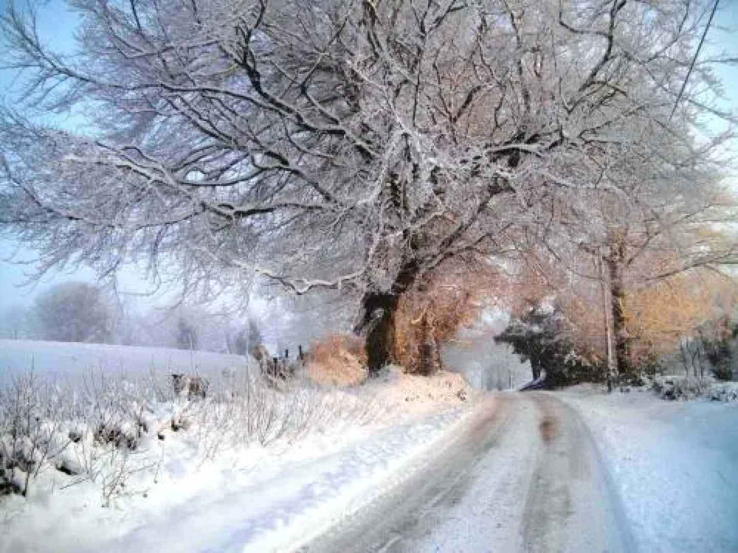 The Laurels Bed & Breakfast Lodge