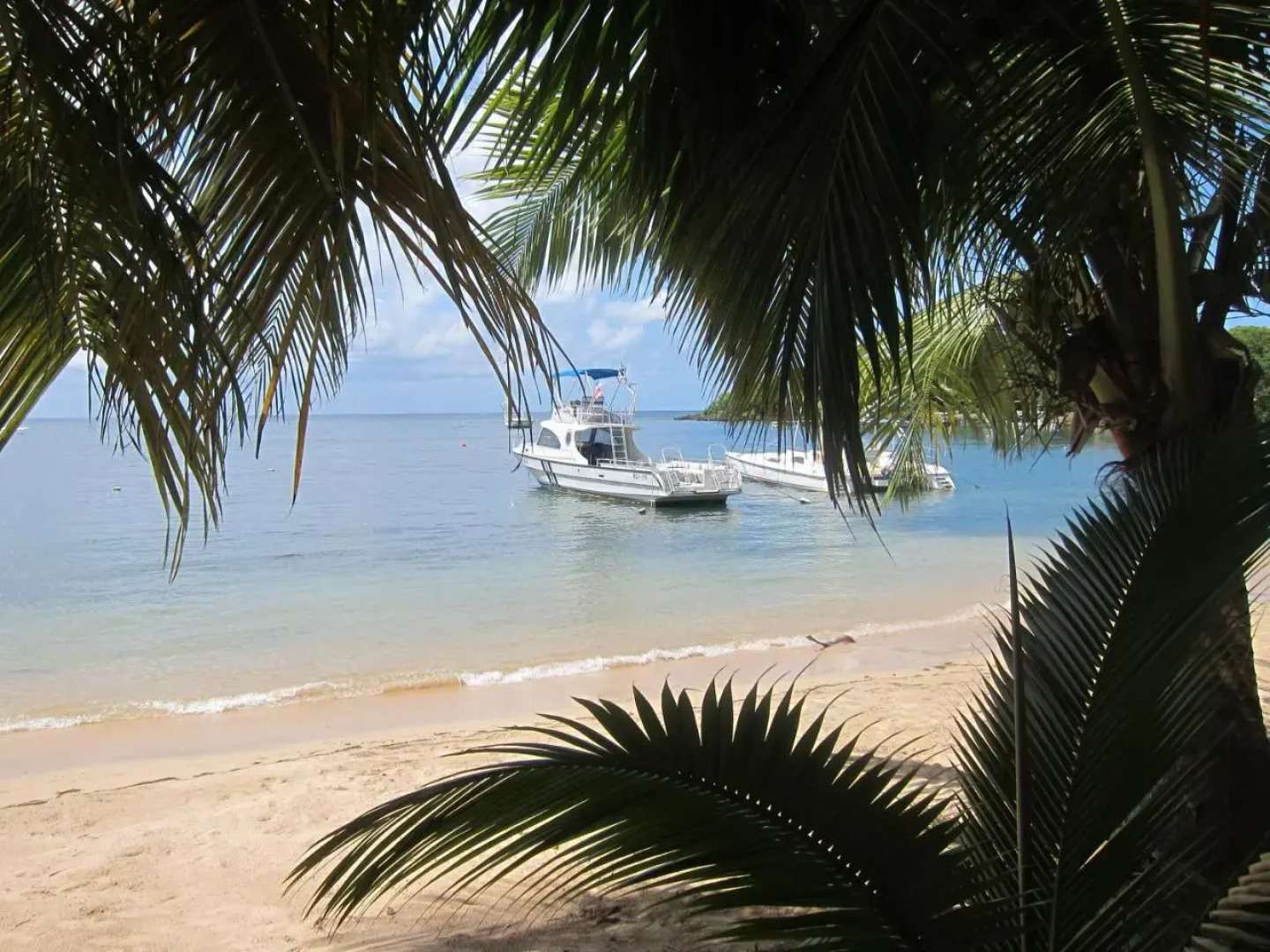 Hotel Chillies and Native Sons Diving