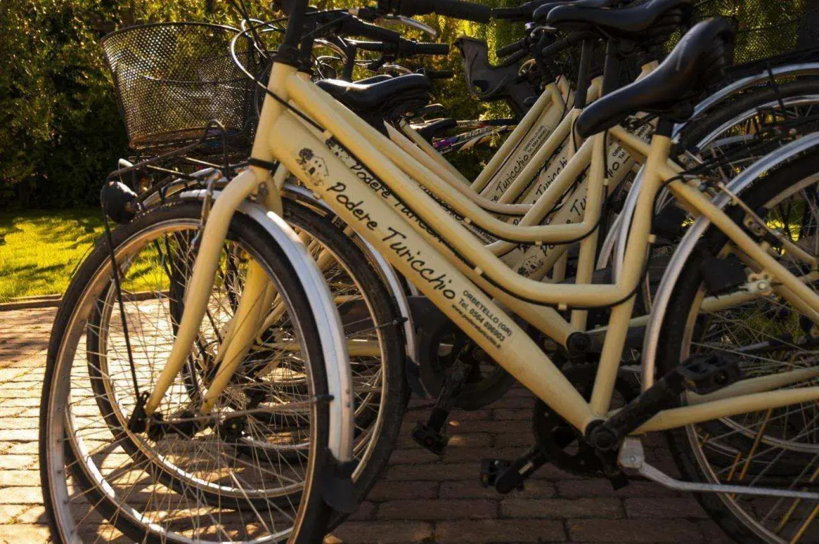 Agriturismo Podere Turicchio