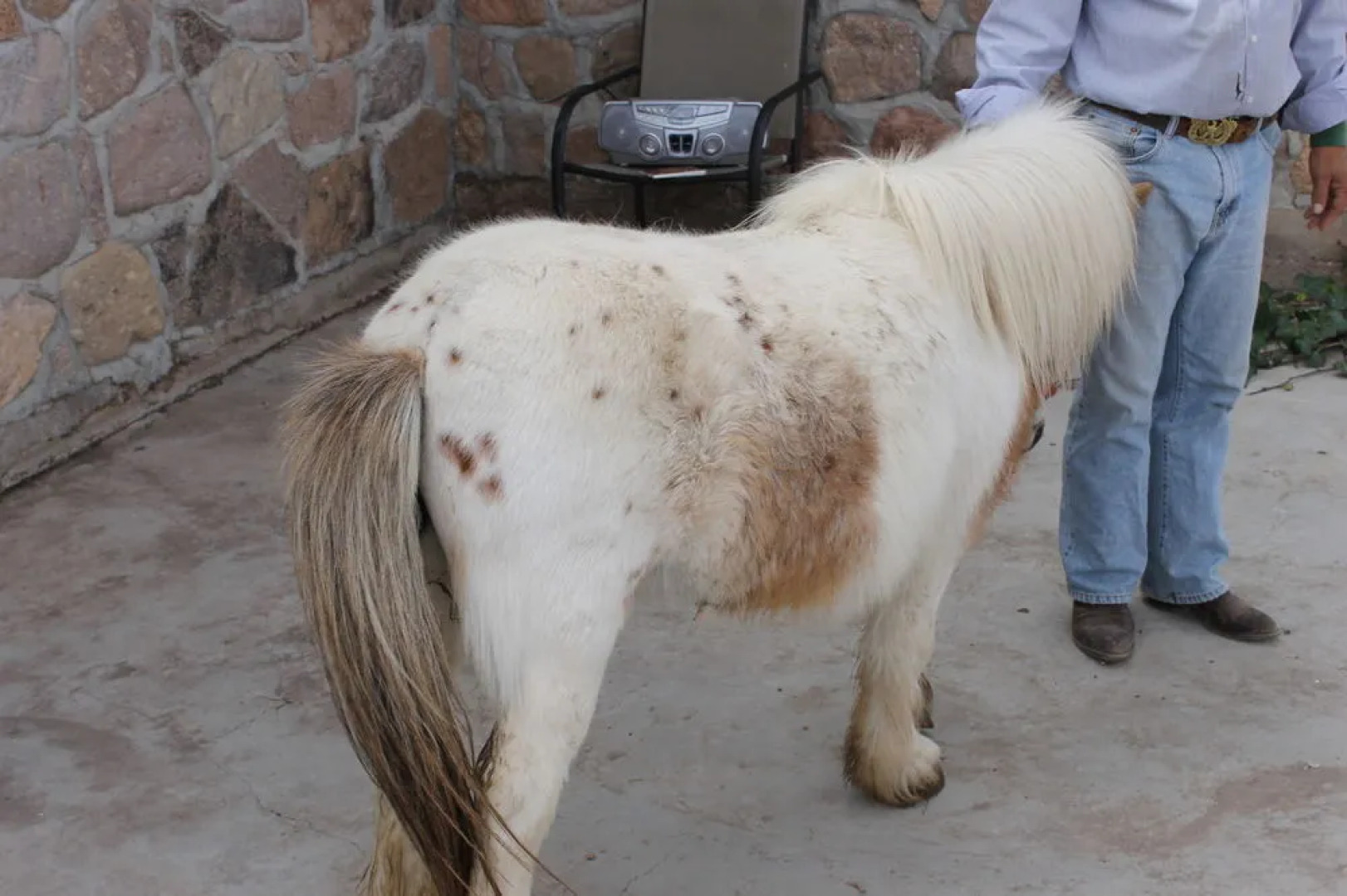 DD Gamble Guest Lodge & Ranch