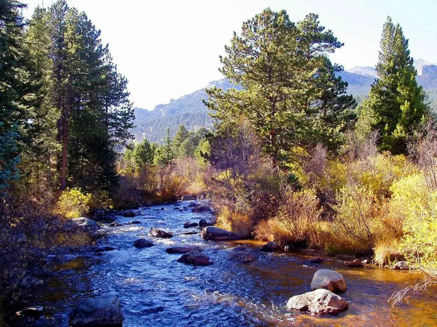 Mountain Masterpiece by Rocky Mountain Resorts