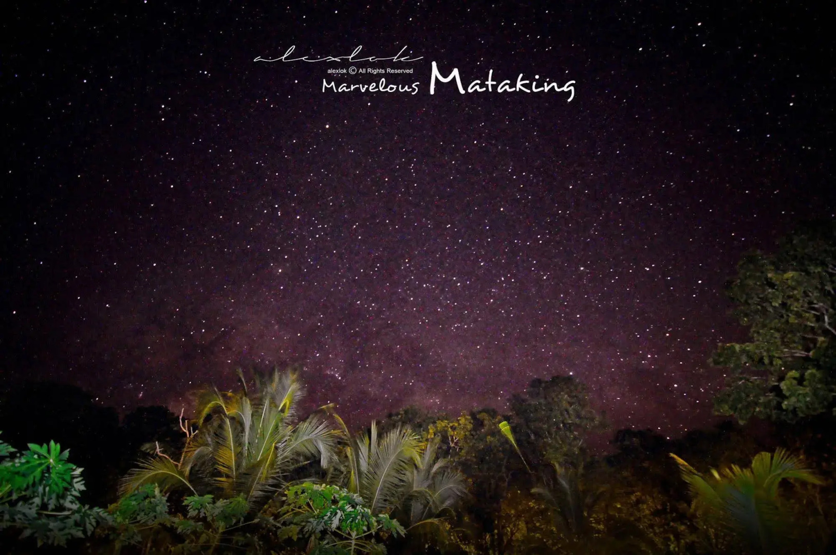 The Reef Dive Resort