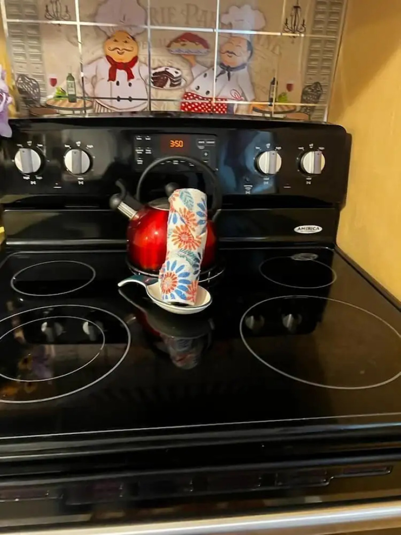 Cozy Stone Mountain Villa