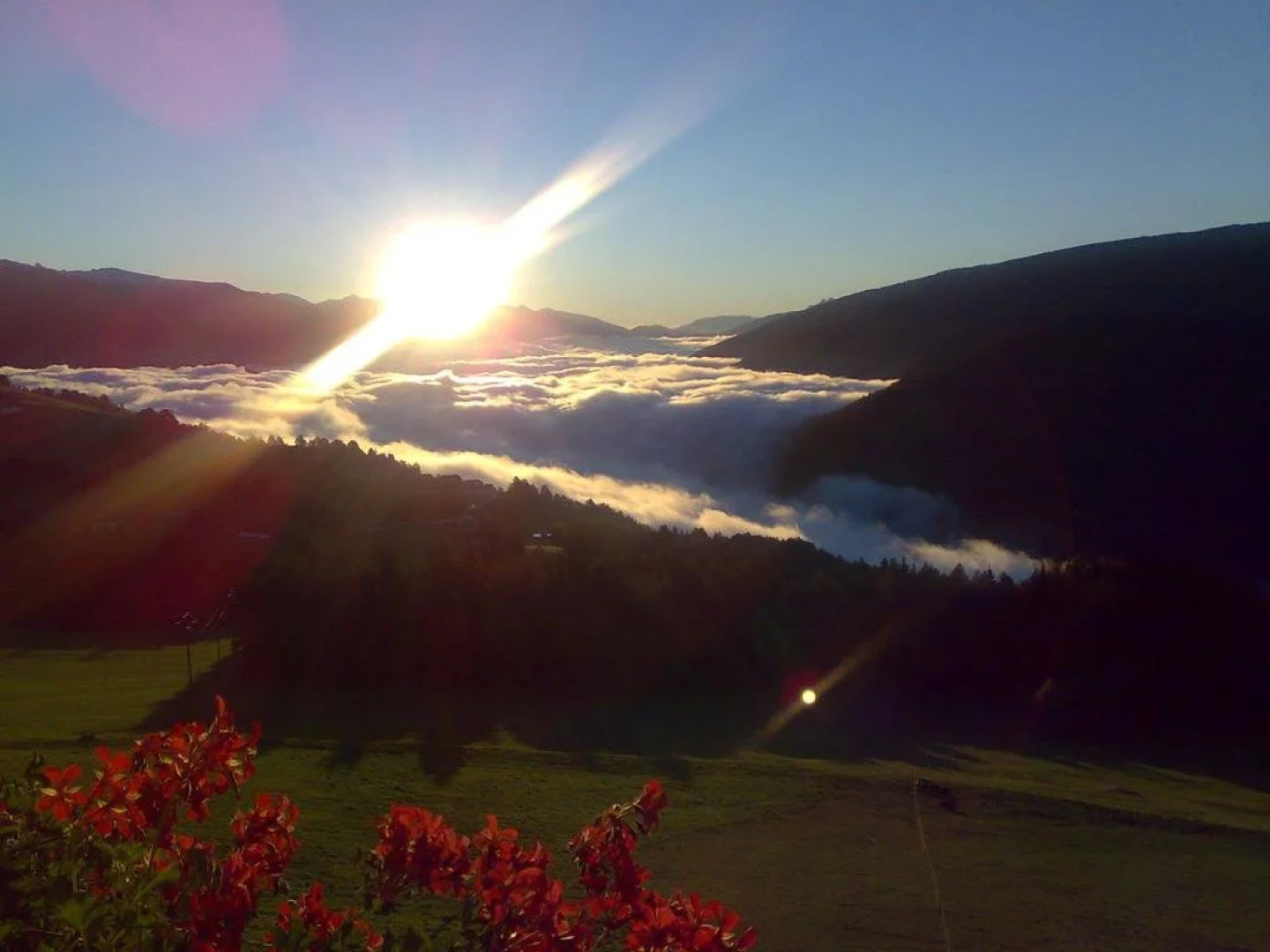 Pension Schifferegger