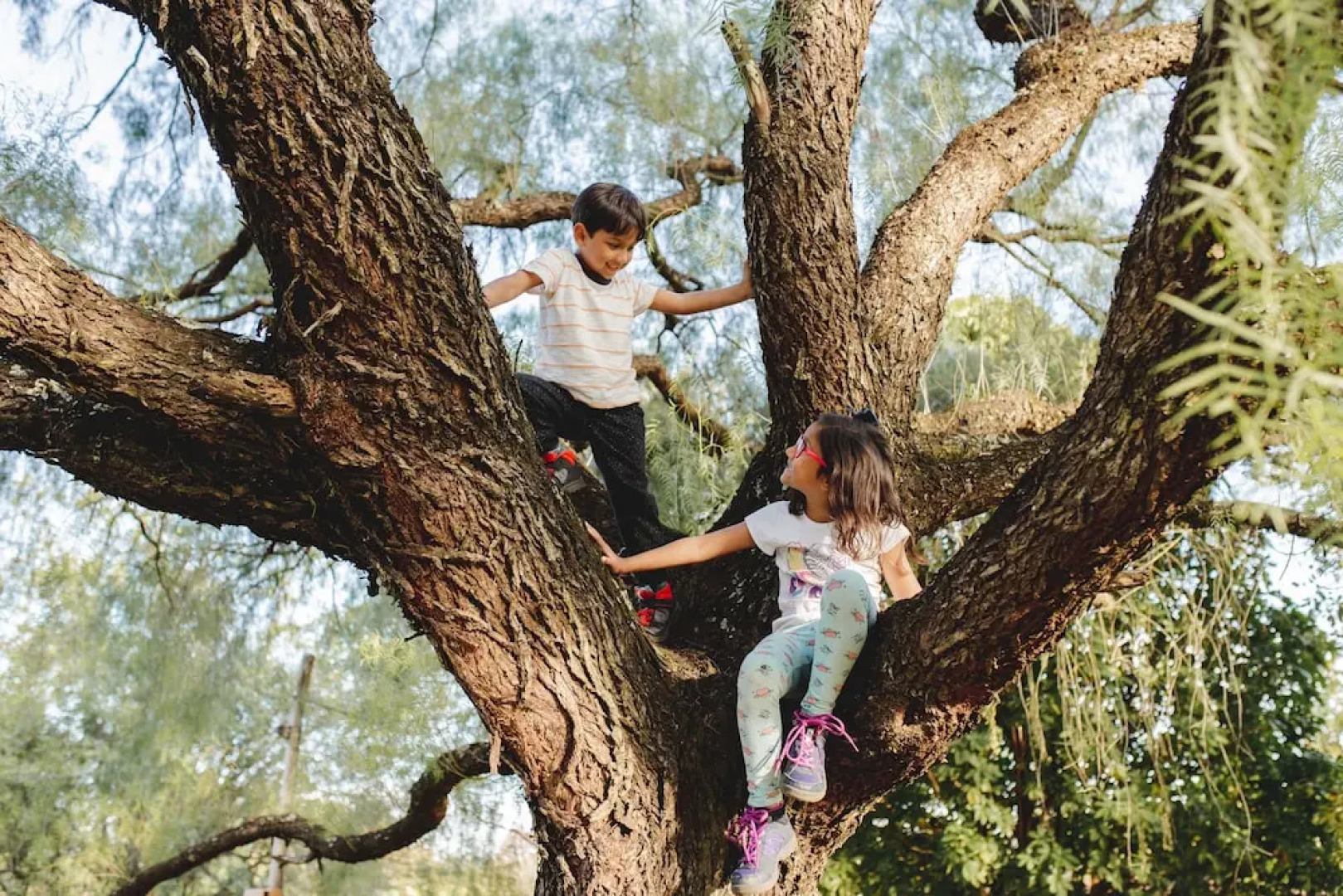 Camping e Lazer Jacaré