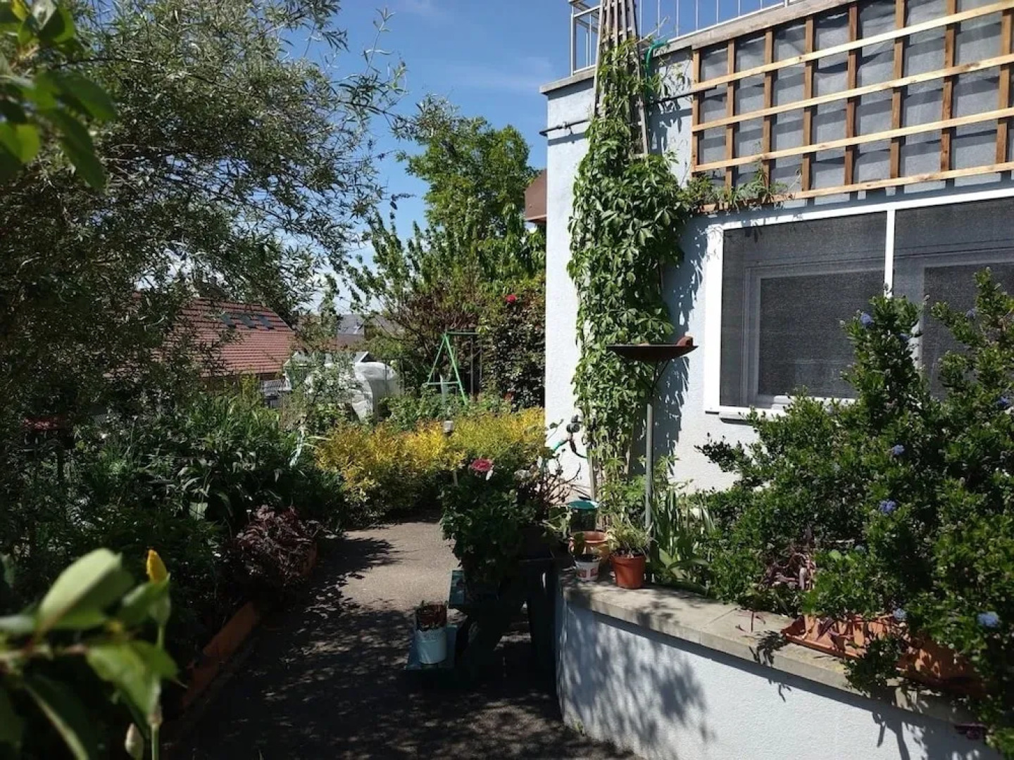 Gite et Studio proche Strasbourg