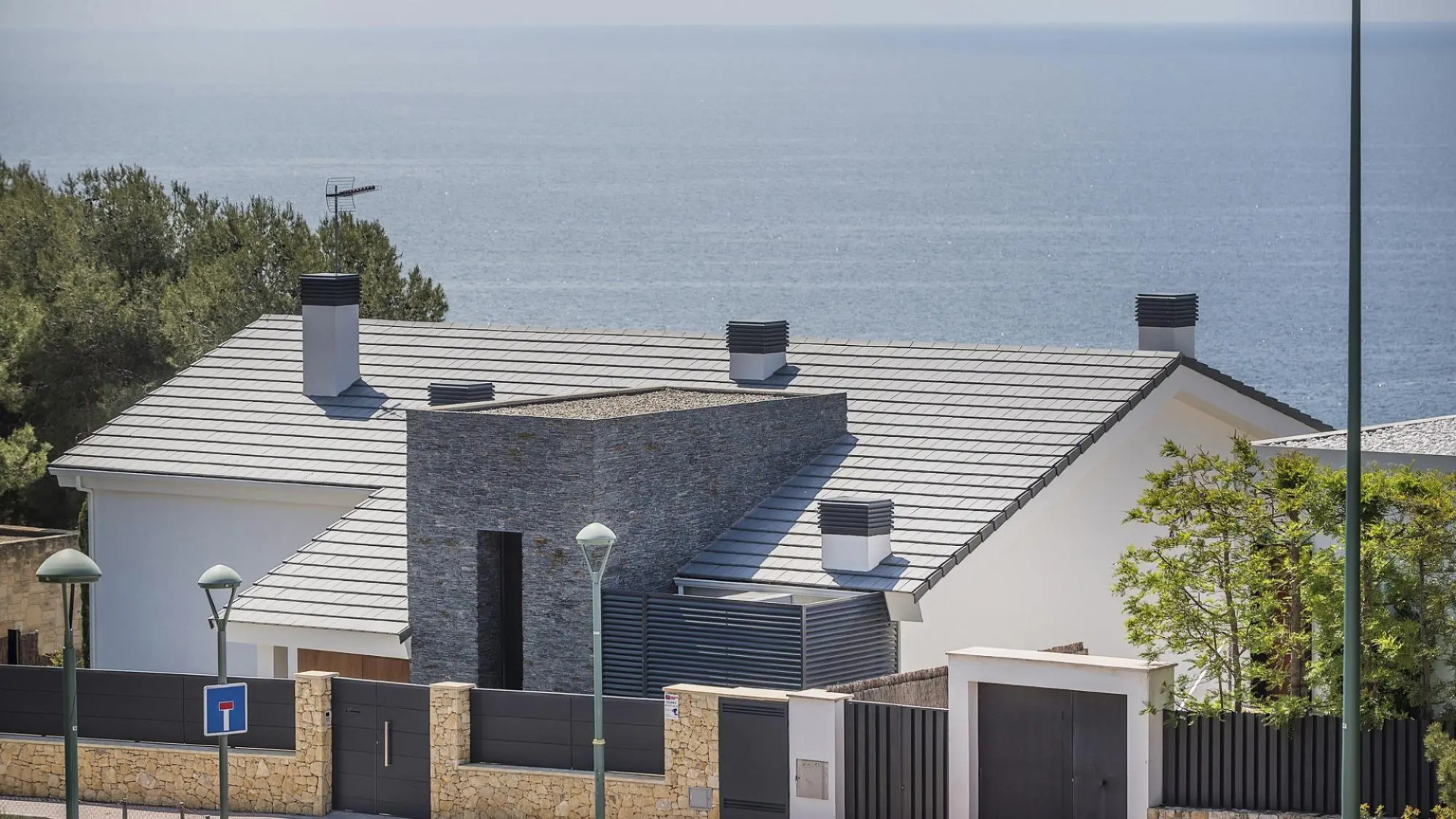 TH85-Limonium-9 in Tarragona