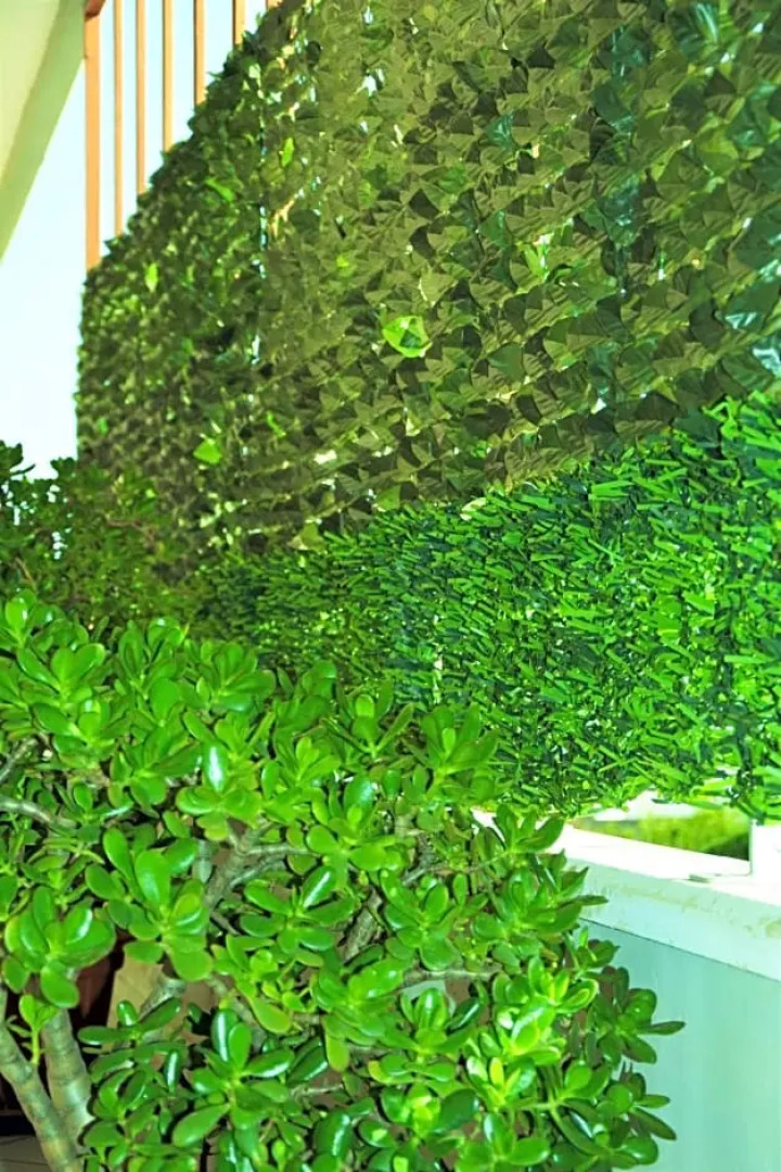 Salenterra B&B (Salento)