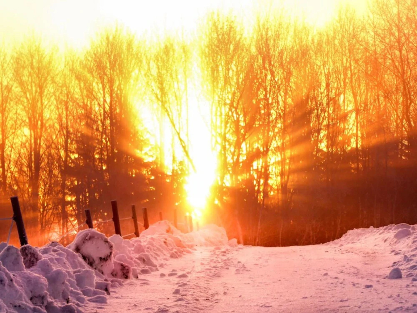 Landgasthof Alpenblick