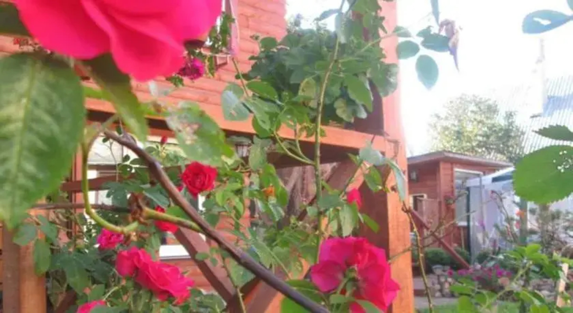 Kambariai ir liuksas Palangoje