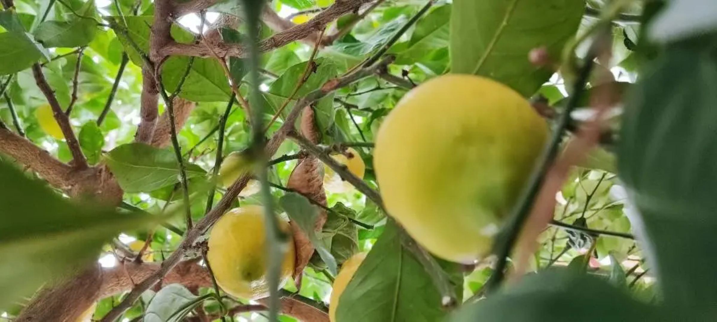 Authentic House Stratoni Chalkidiki Greece 6P Seaview