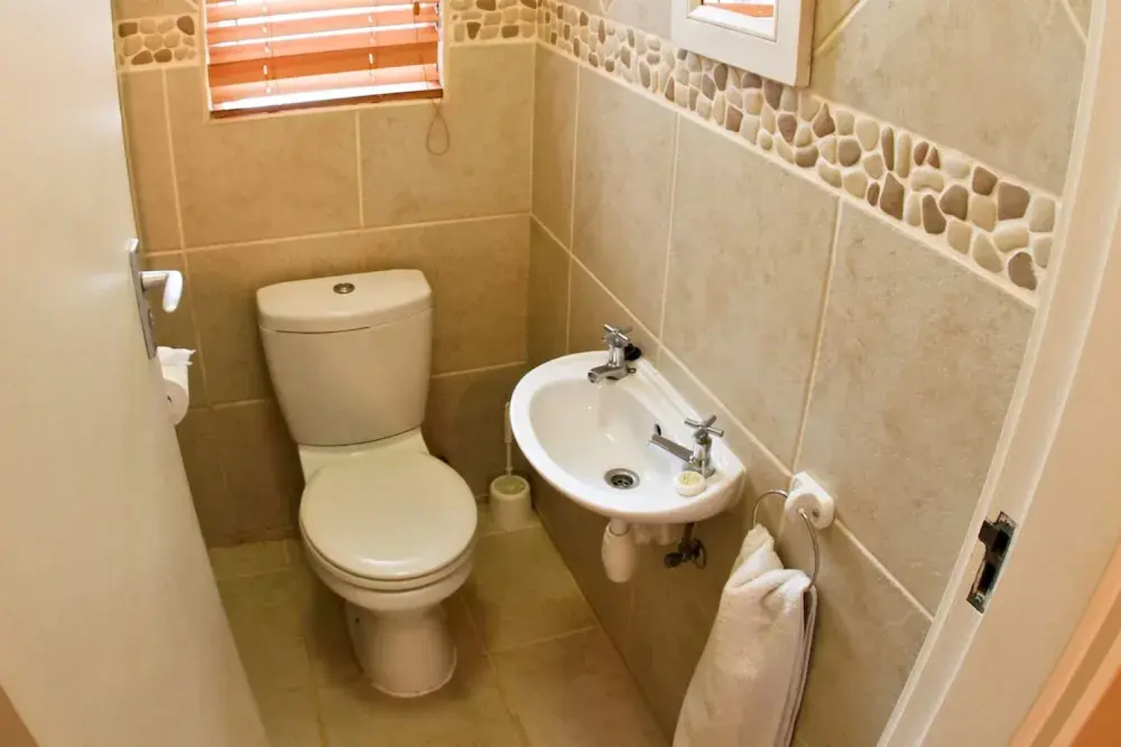 First Group Desert Rose