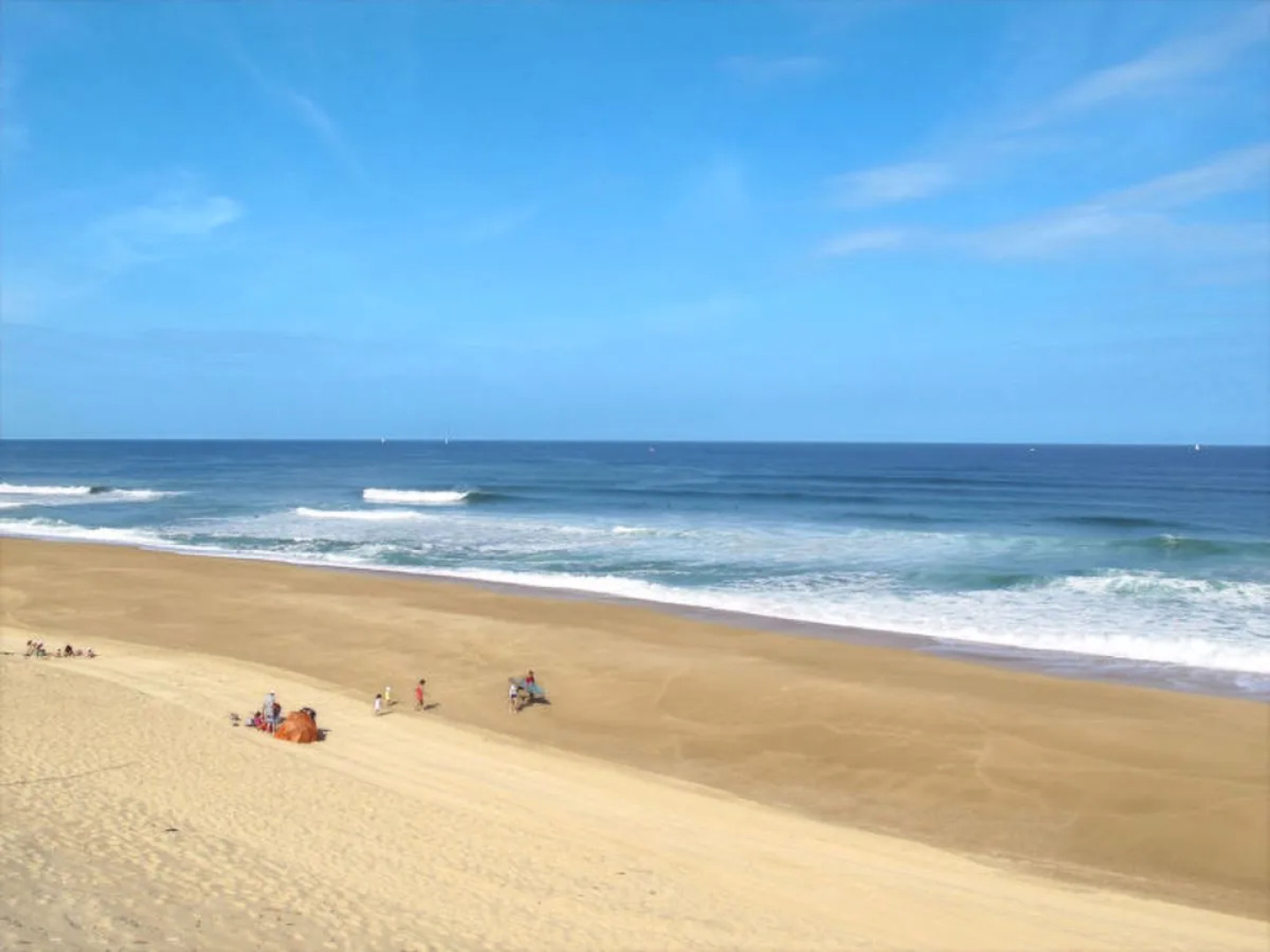 LES CAMéLIAS (LBE110)