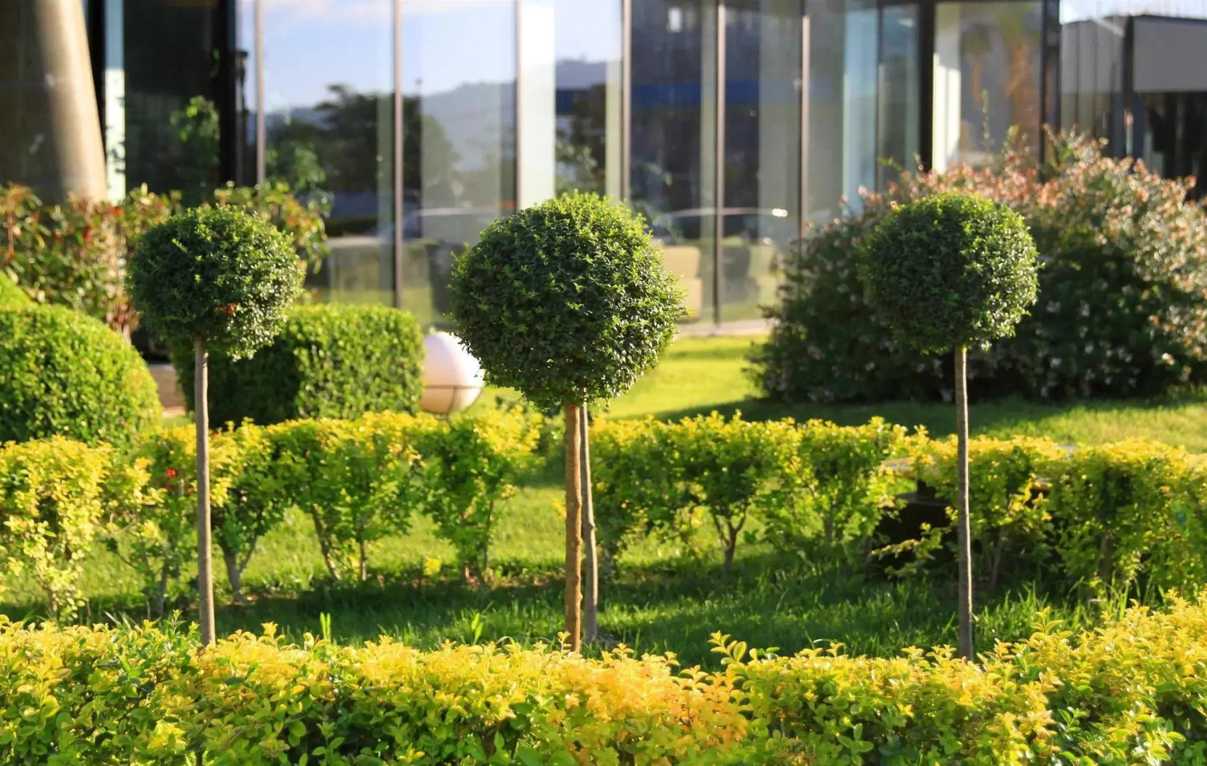 Best Western Ark Premier Hotel