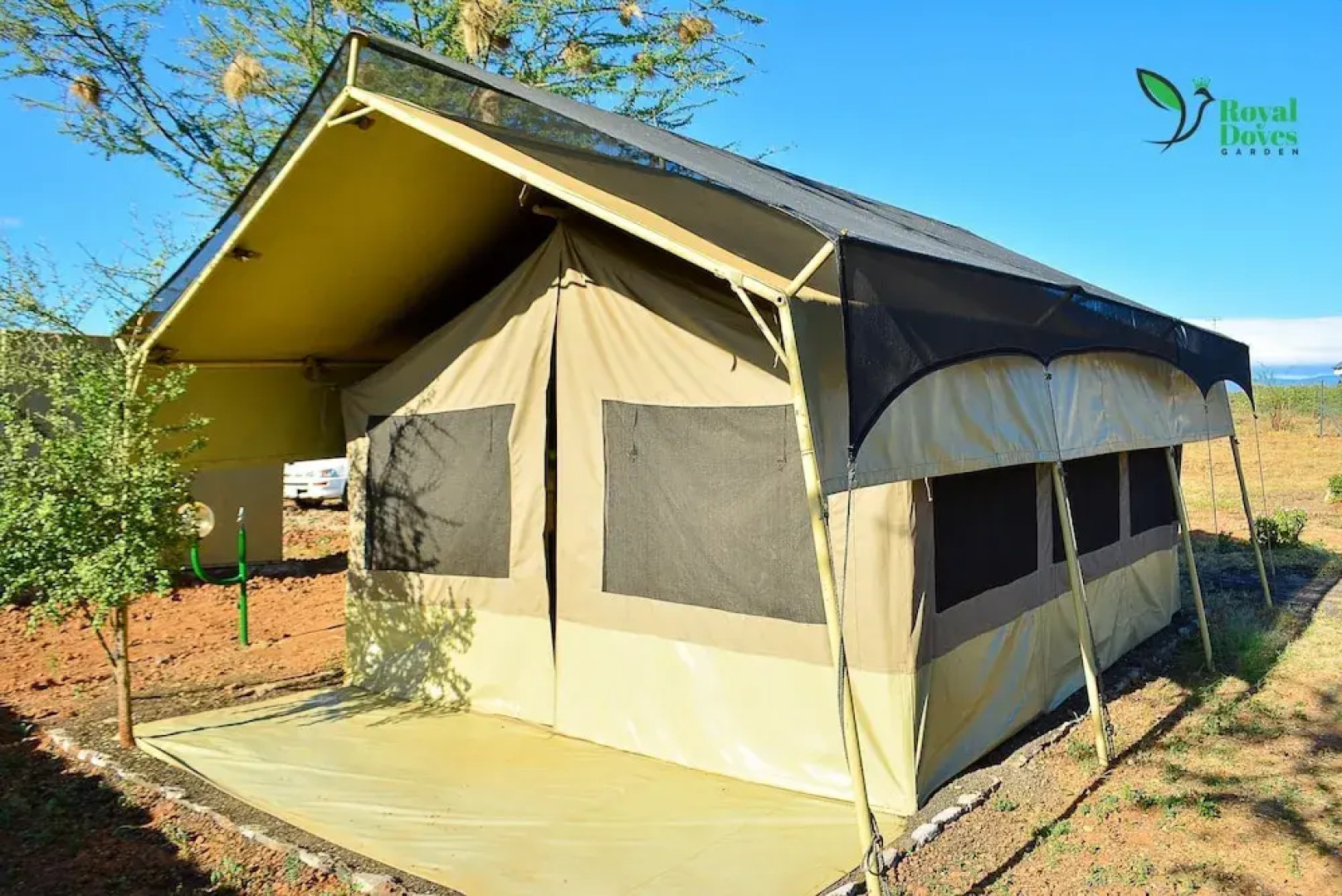 Royal Doves Garden Lake Baringo
